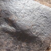 inscription of siglum Al-Mafraq Museum 47