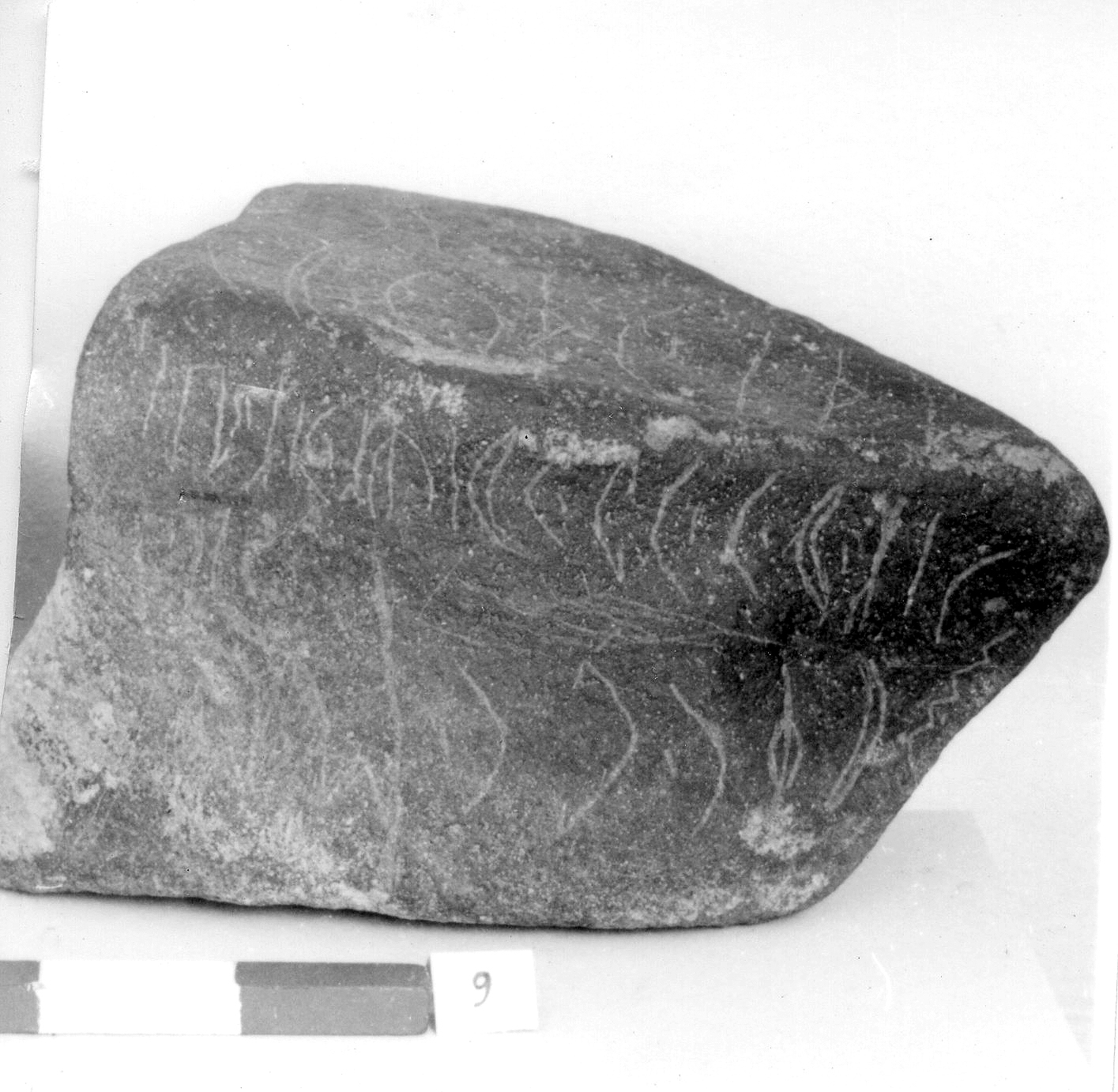 inscription of siglum Al-Mafraq Museum 5