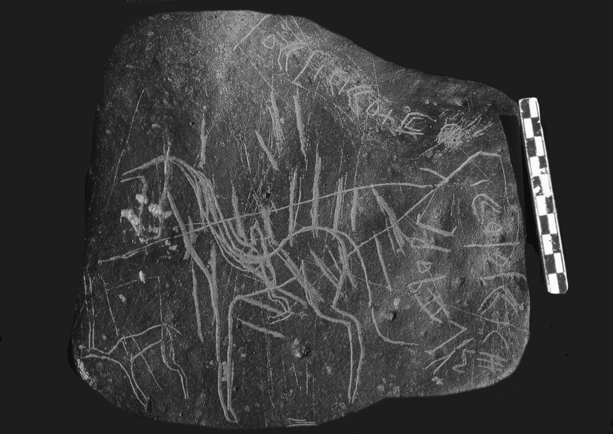 inscription of siglum Al-Mafraq Museum 68