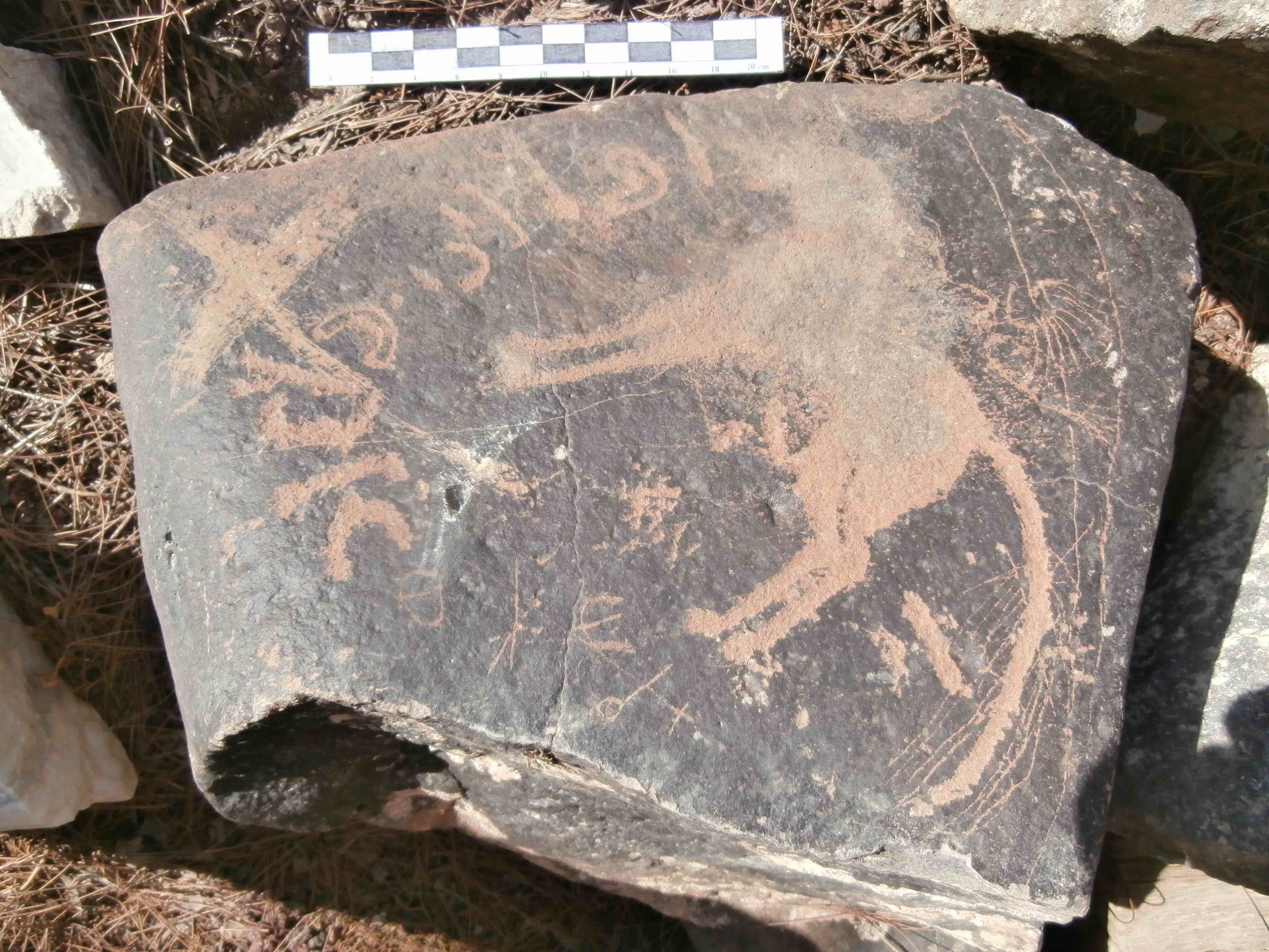 inscription of siglum Al-Mafraq Museum 73