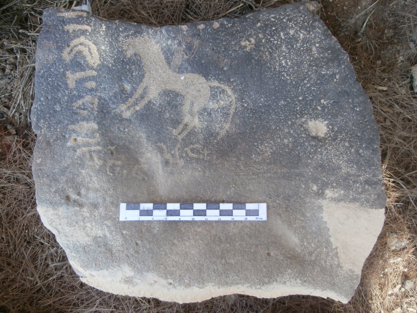 inscription of siglum Al-Mafraq Museum 74