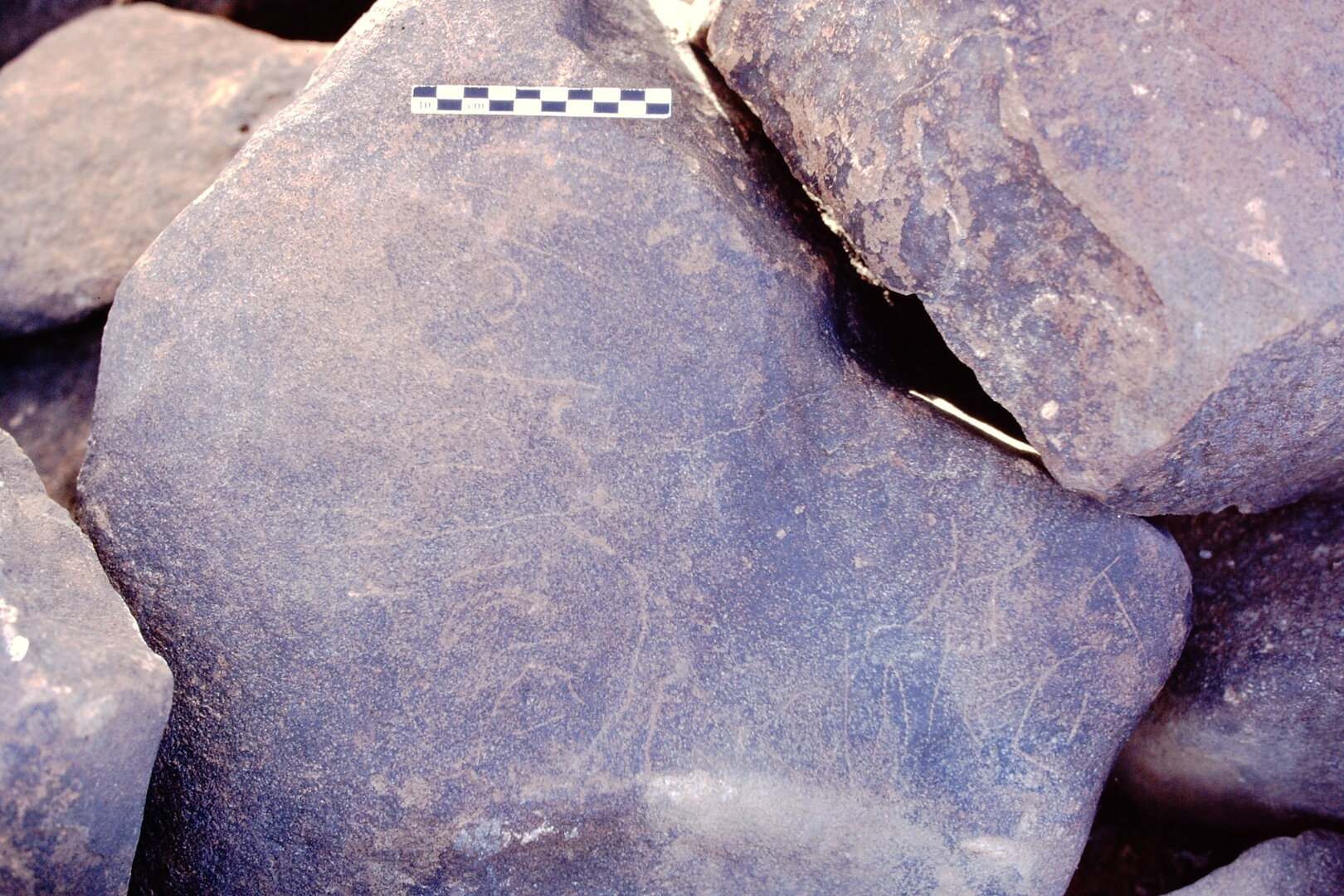 inscription of siglum Al-Namārah.H 101