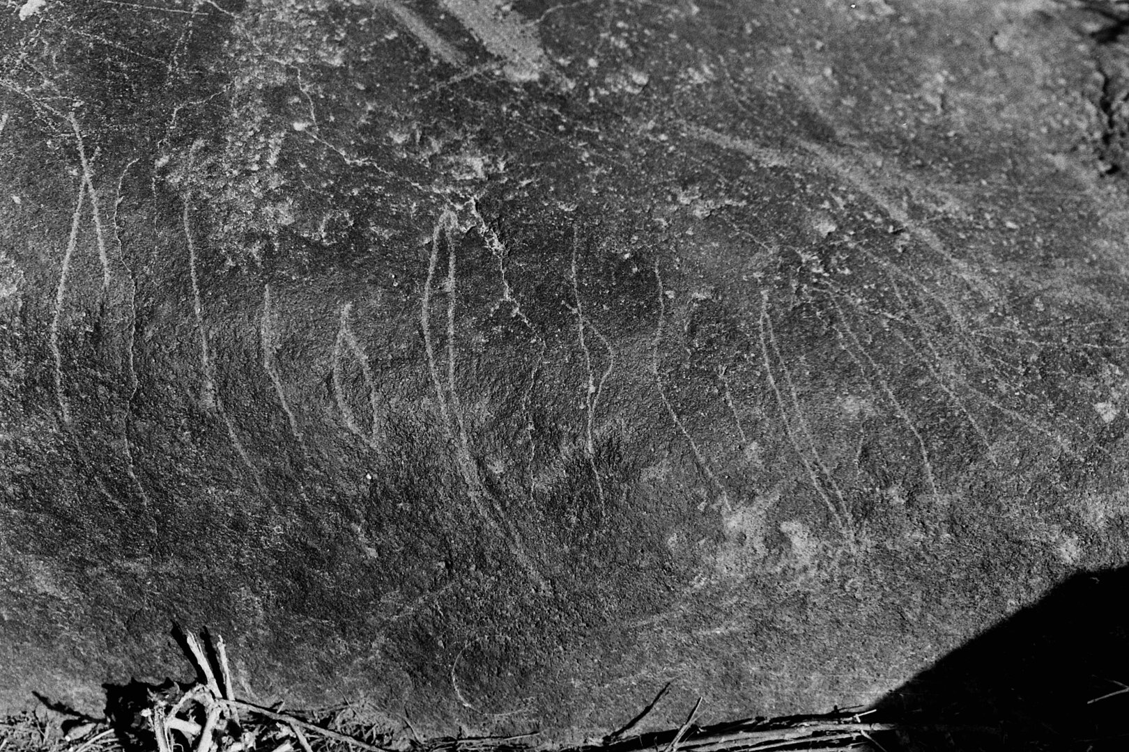 inscription of siglum Al-Namārah.H 108
