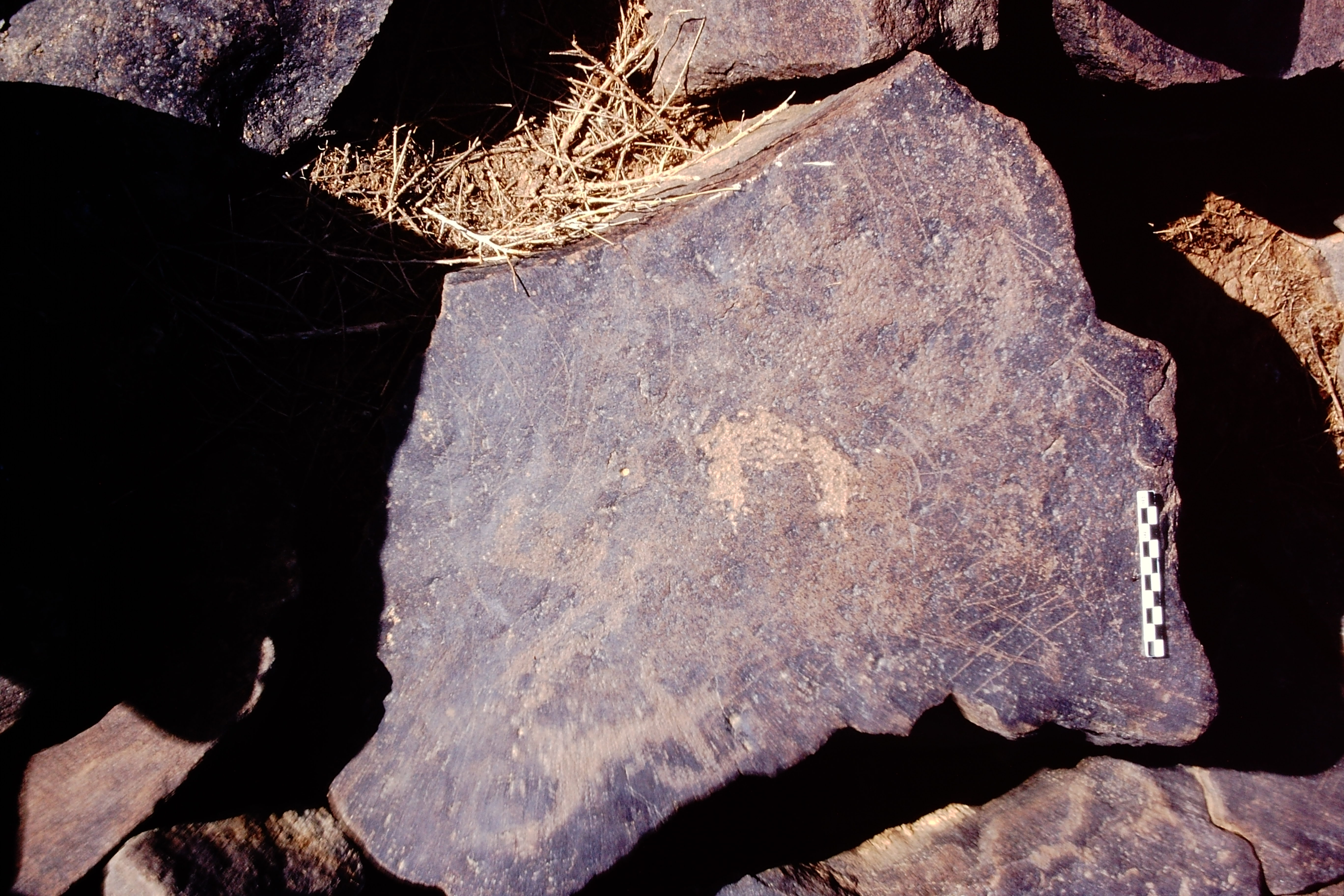 inscription of siglum Al-Namārah.H 113