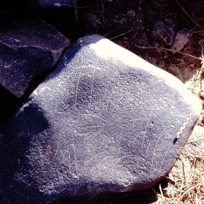 inscription of siglum Al-Namārah.H 117