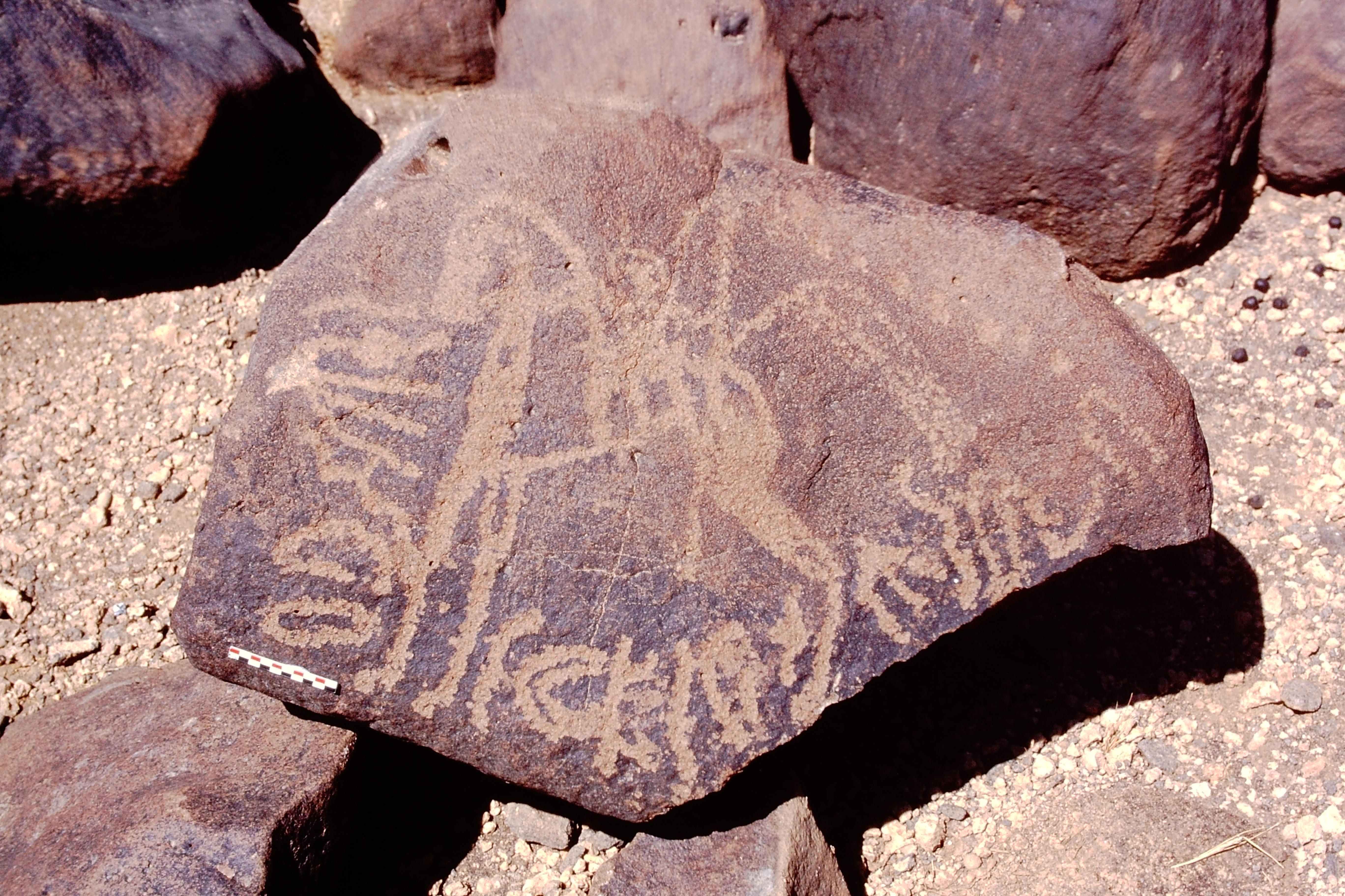 inscription of siglum Al-Namārah.H 147