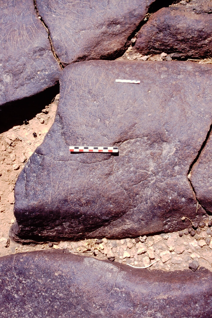 inscription of siglum Al-Namārah.H 152