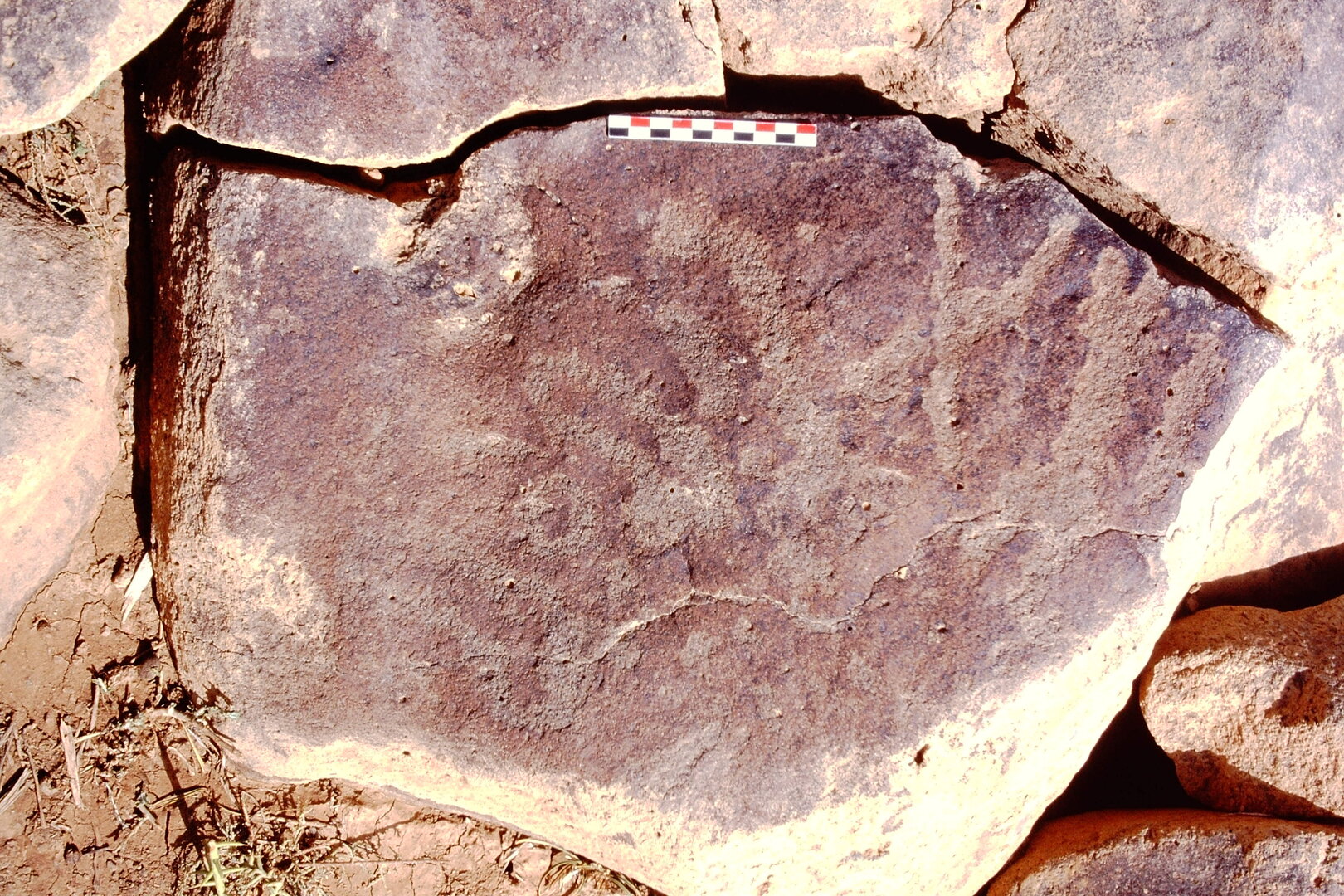 inscription of siglum Al-Namārah.H 179