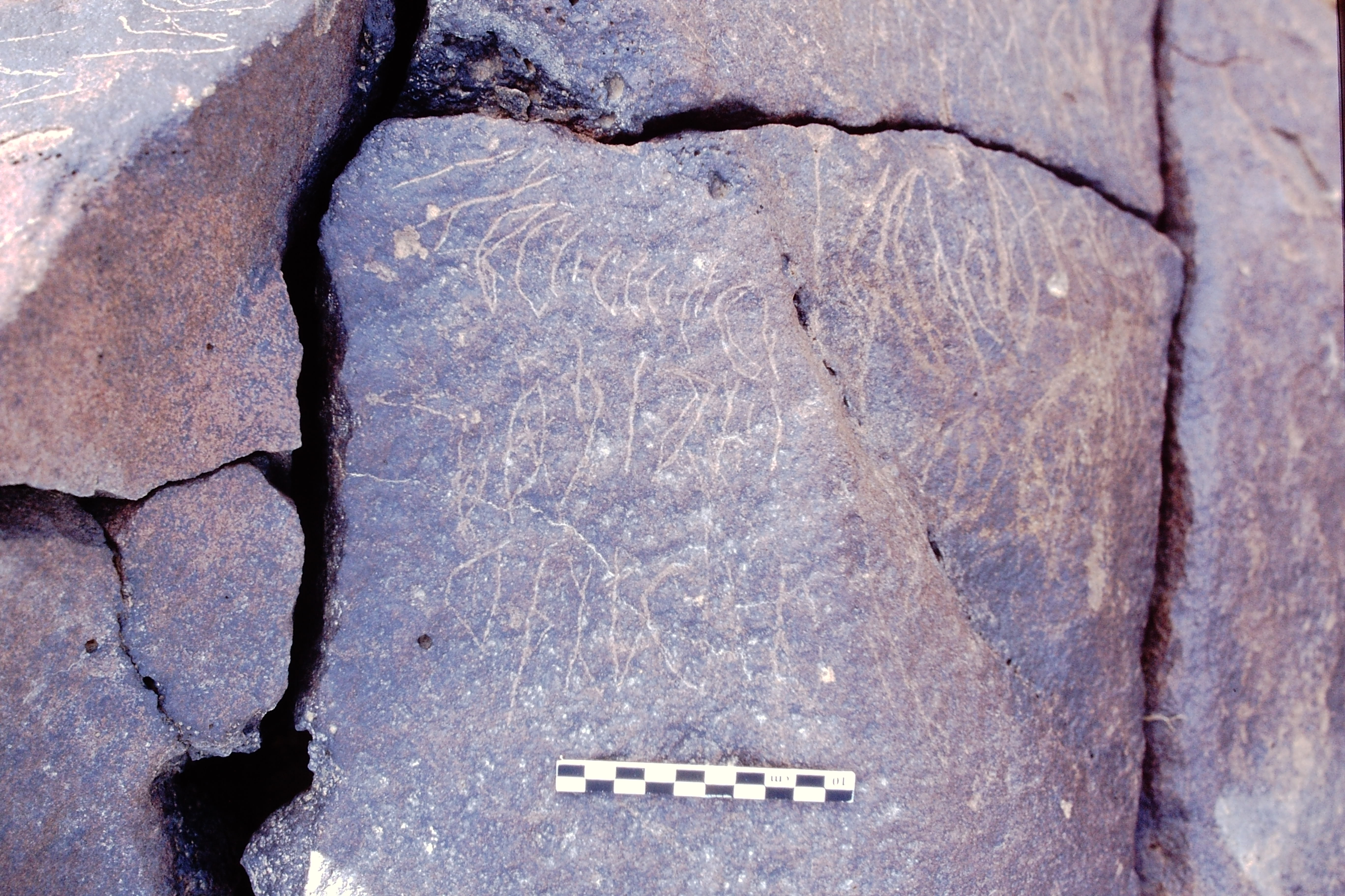 inscription of siglum Al-Namārah.H 25