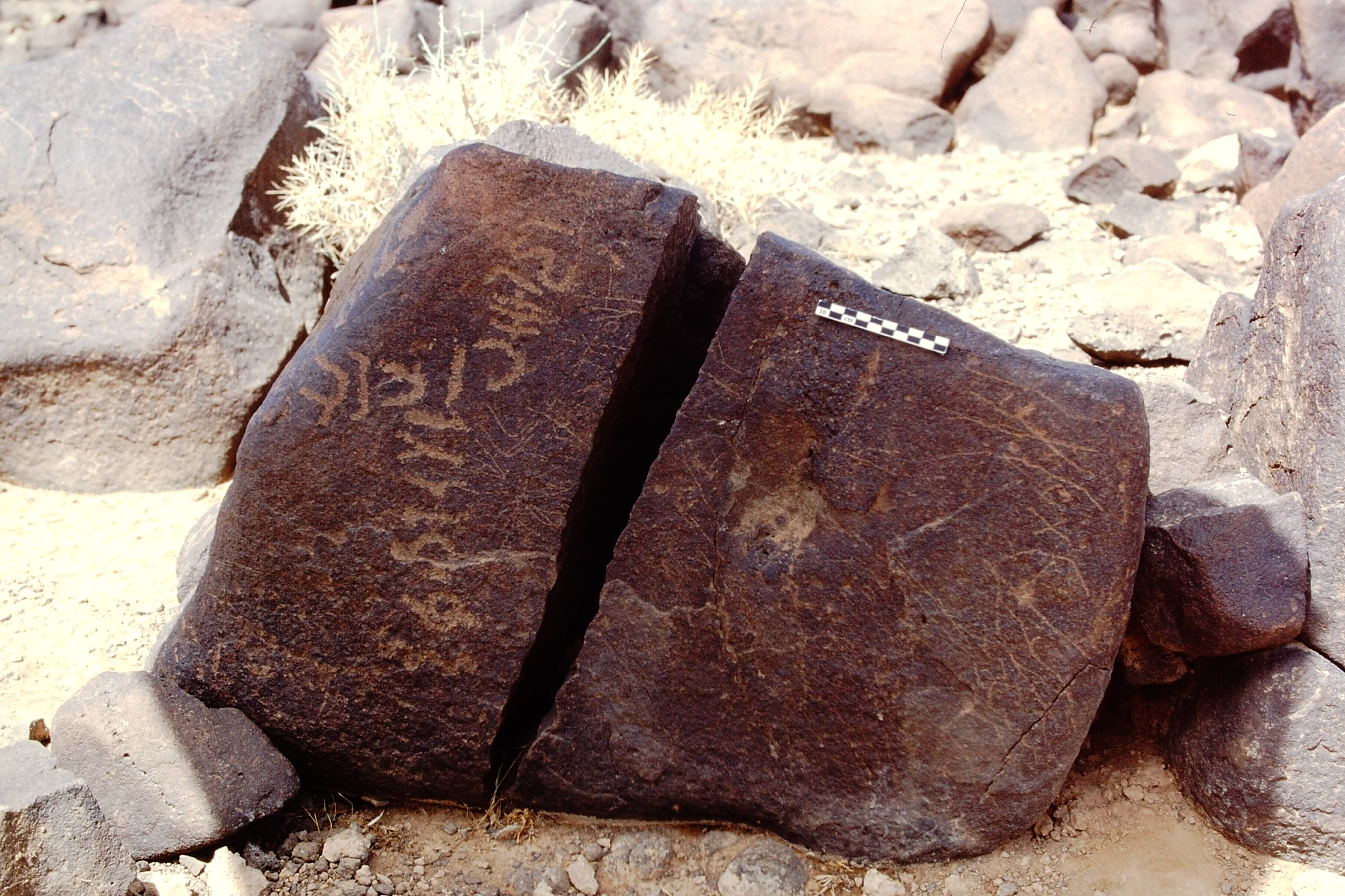 inscription of siglum Al-Namārah.H 50