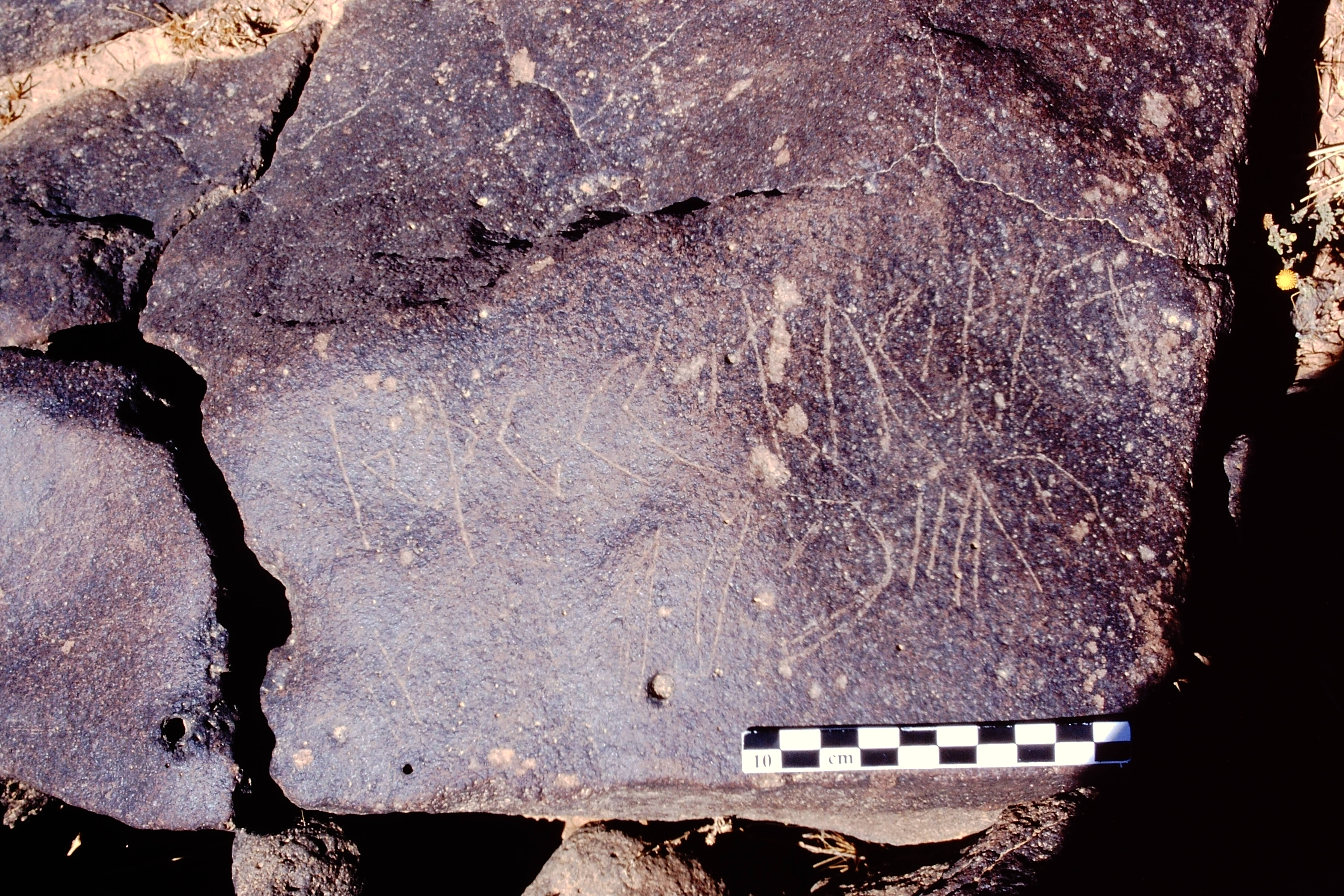 inscription of siglum Al-Namārah.H 88