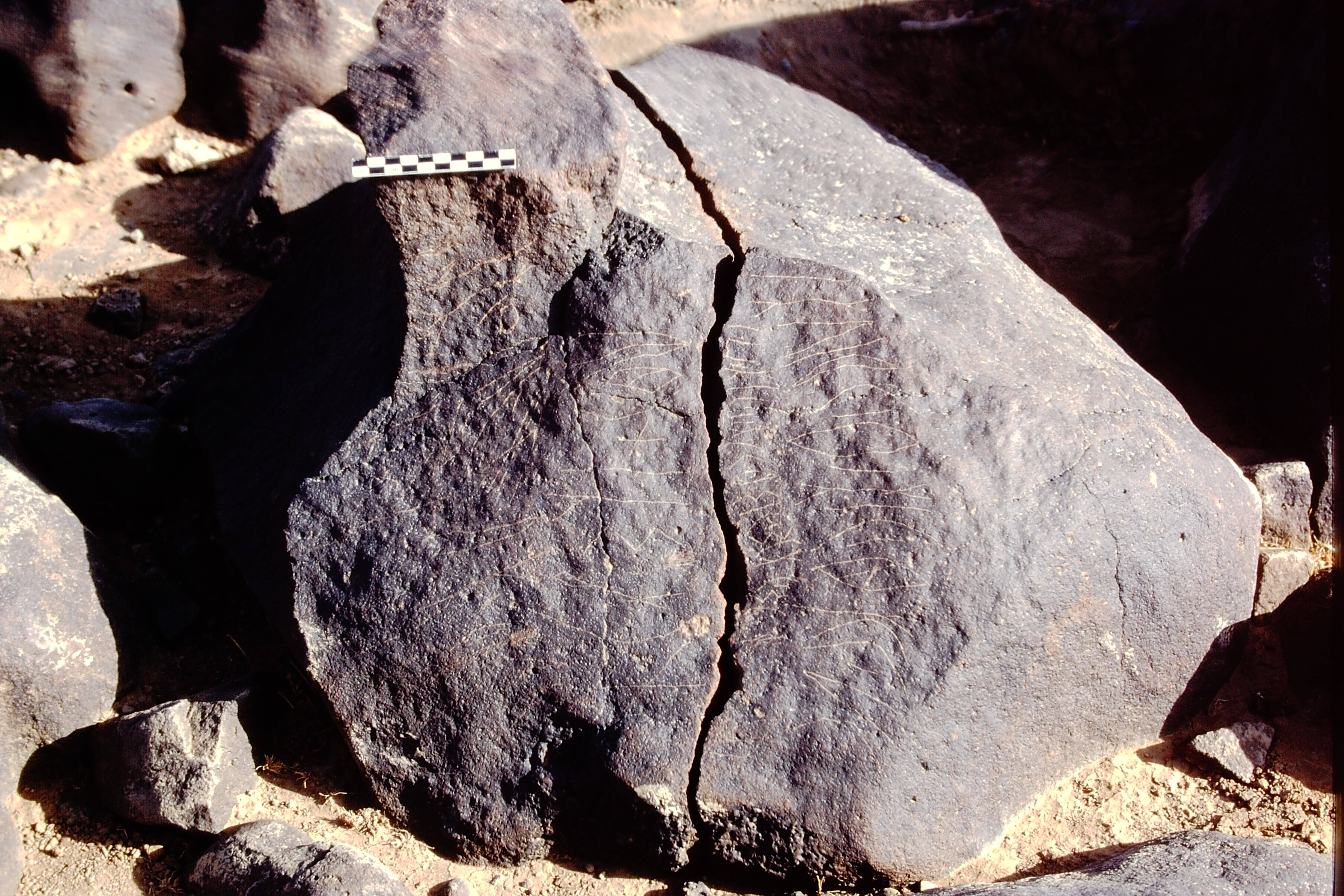 inscription of siglum Al-Namārah.H 9