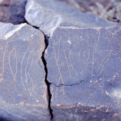 inscription of siglum Al-Namārah.H 98