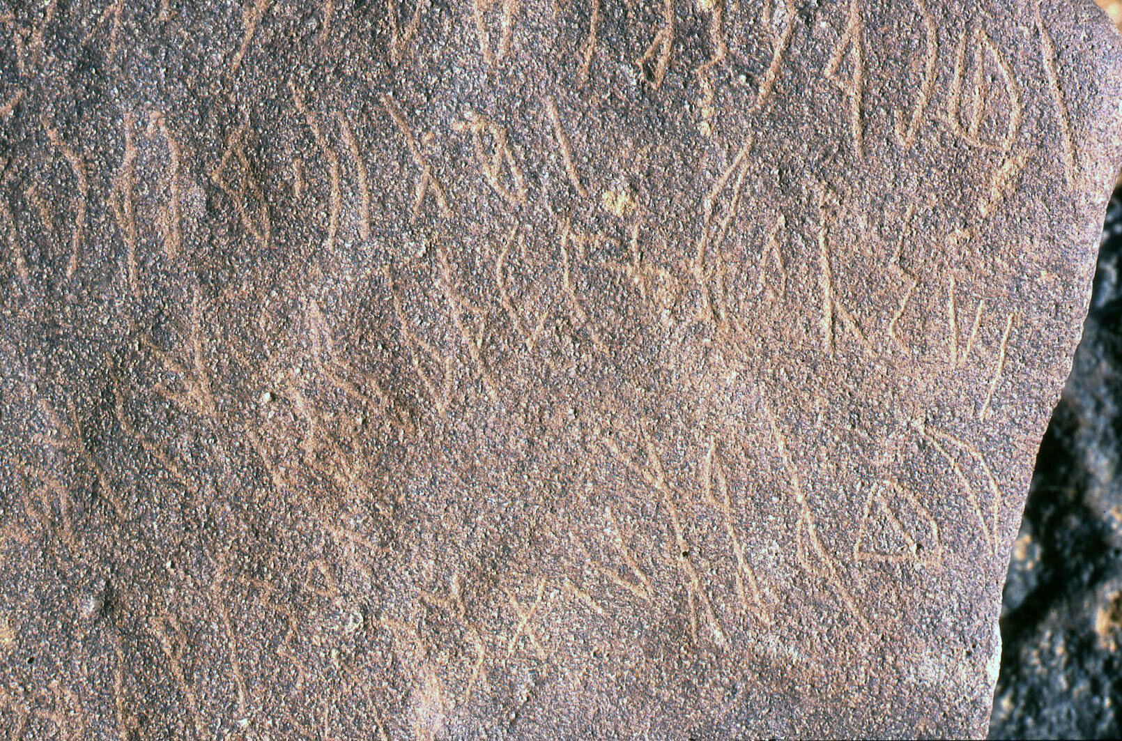 inscription of siglum Al-Namārah.M 58