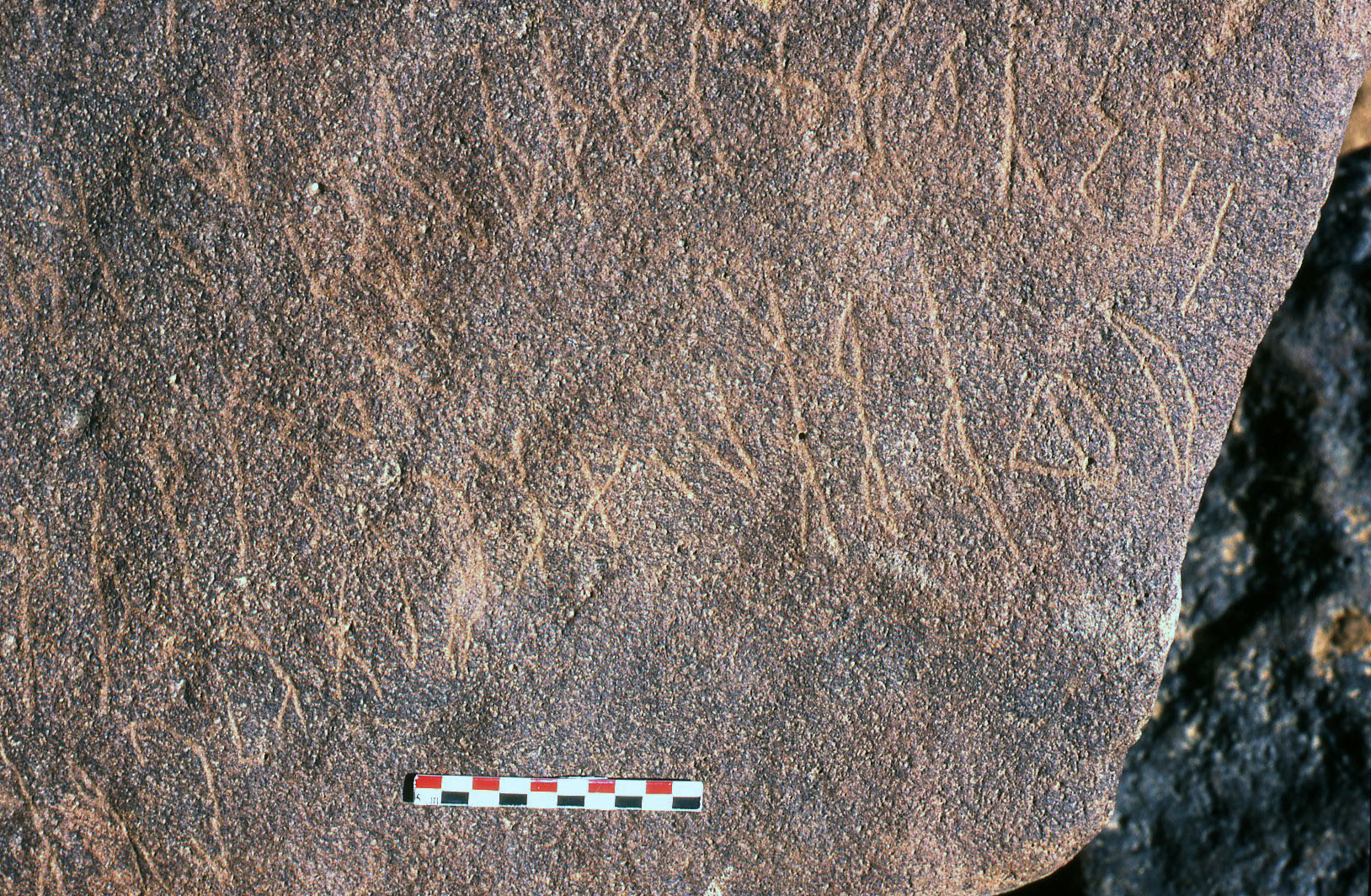 inscription of siglum Al-Namārah.M 58