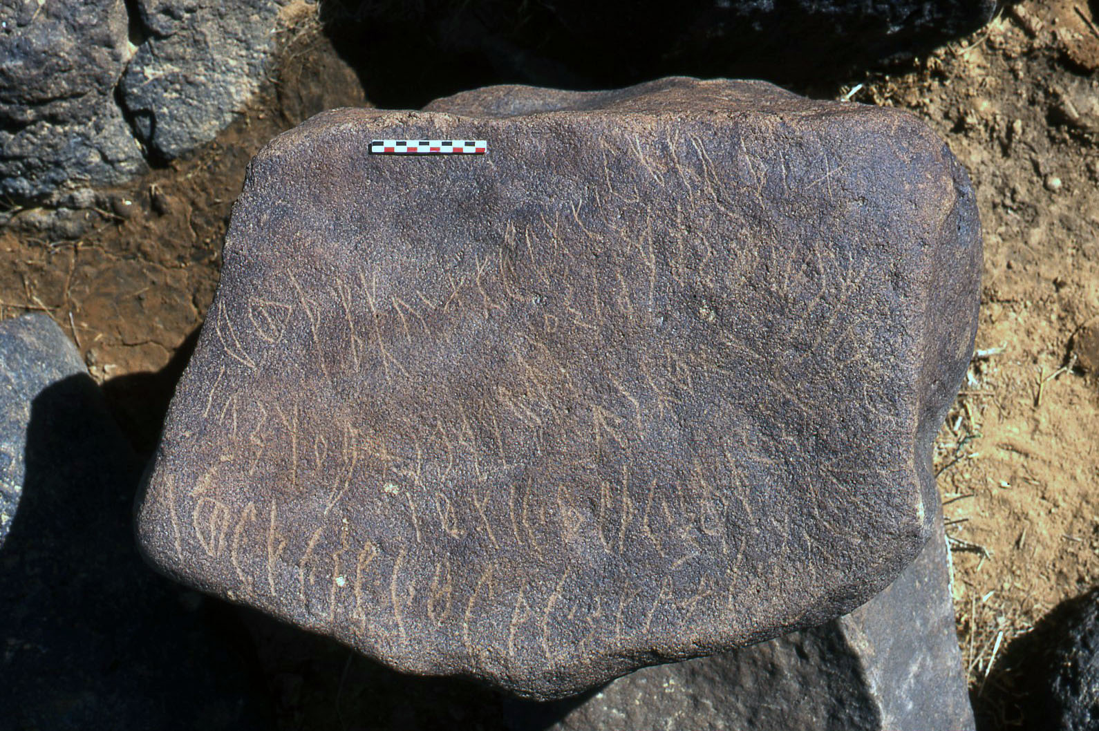 inscription of siglum Al-Namārah.M 58