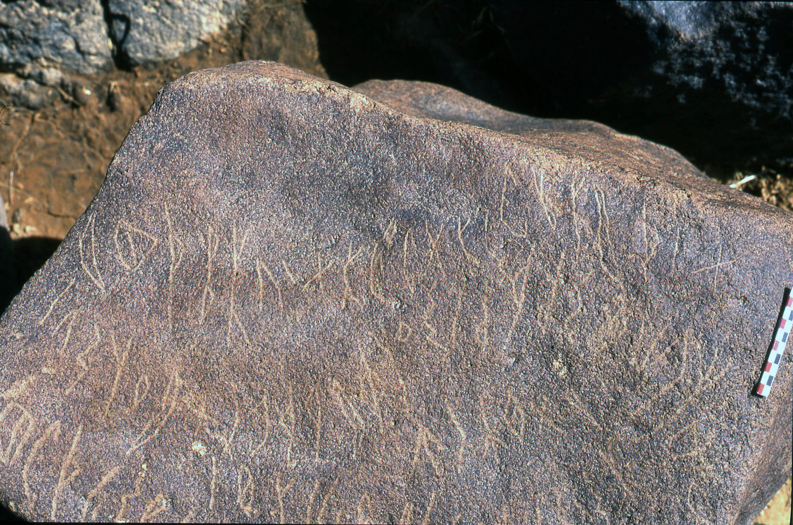 inscription of siglum Al-Namārah.M 58