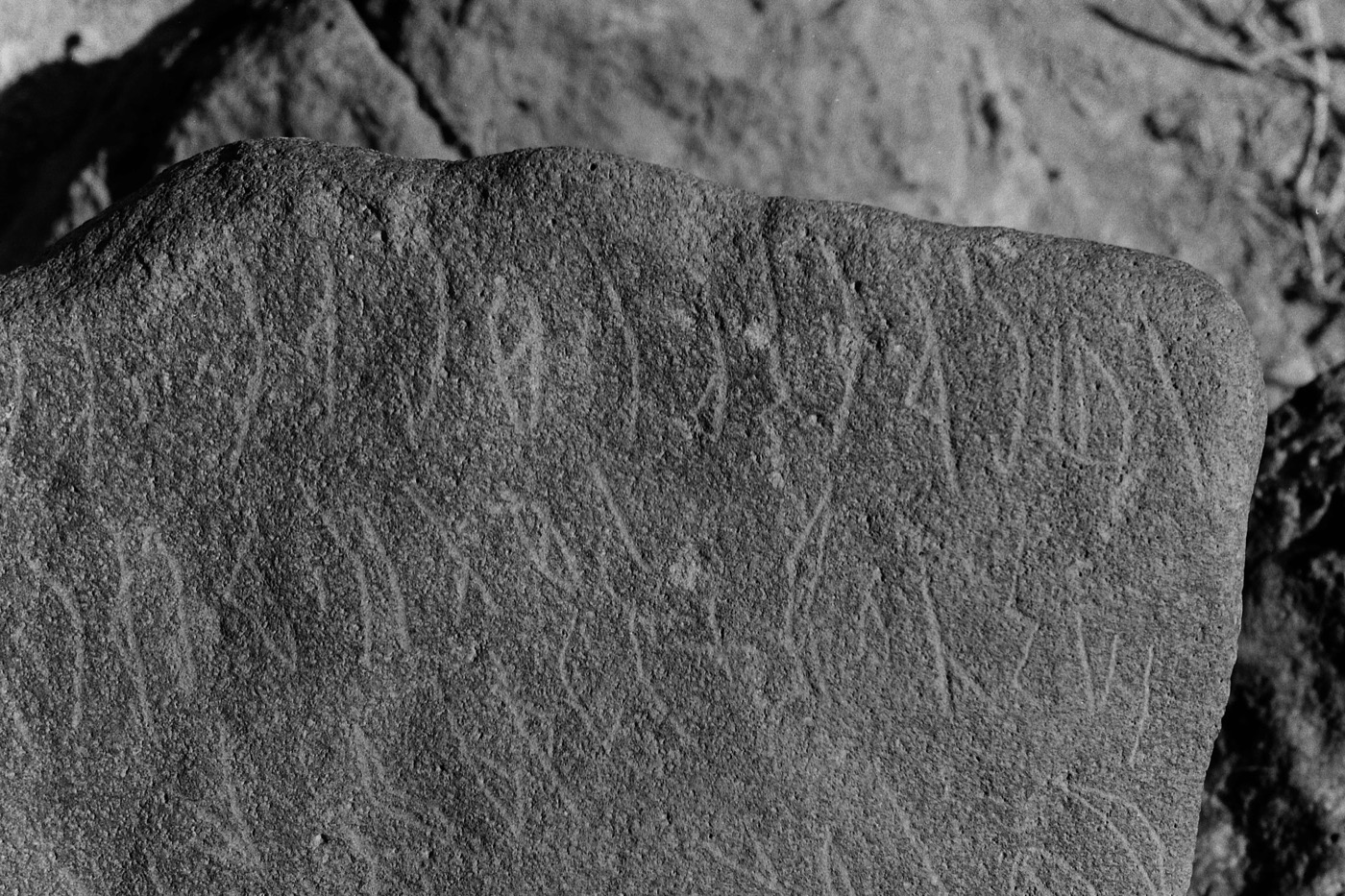 inscription of siglum Al-Namārah.M 58