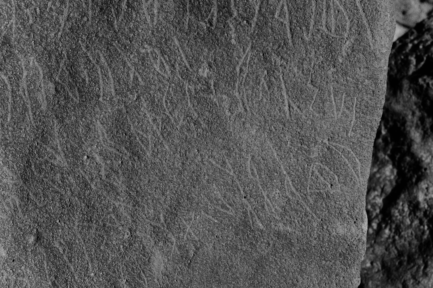 inscription of siglum Al-Namārah.M 58