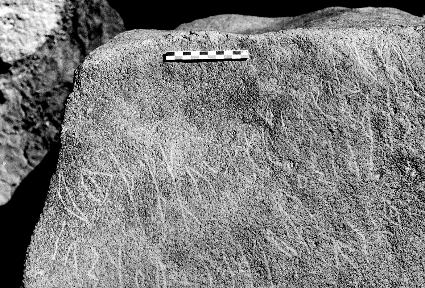 inscription of siglum Al-Namārah.M 58