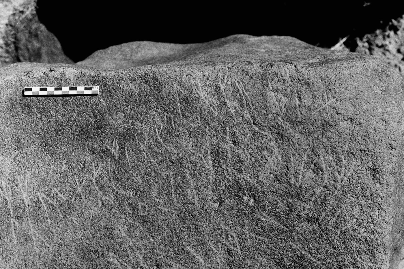 inscription of siglum Al-Namārah.M 58