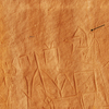 inscription of siglum Al-Saʿīd 1419/1999: 25–26, no. 3