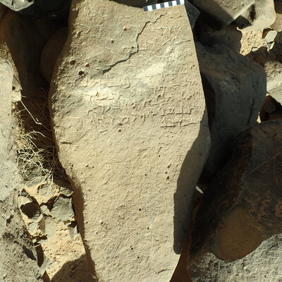 inscription of siglum Bādiyah Palm. 1