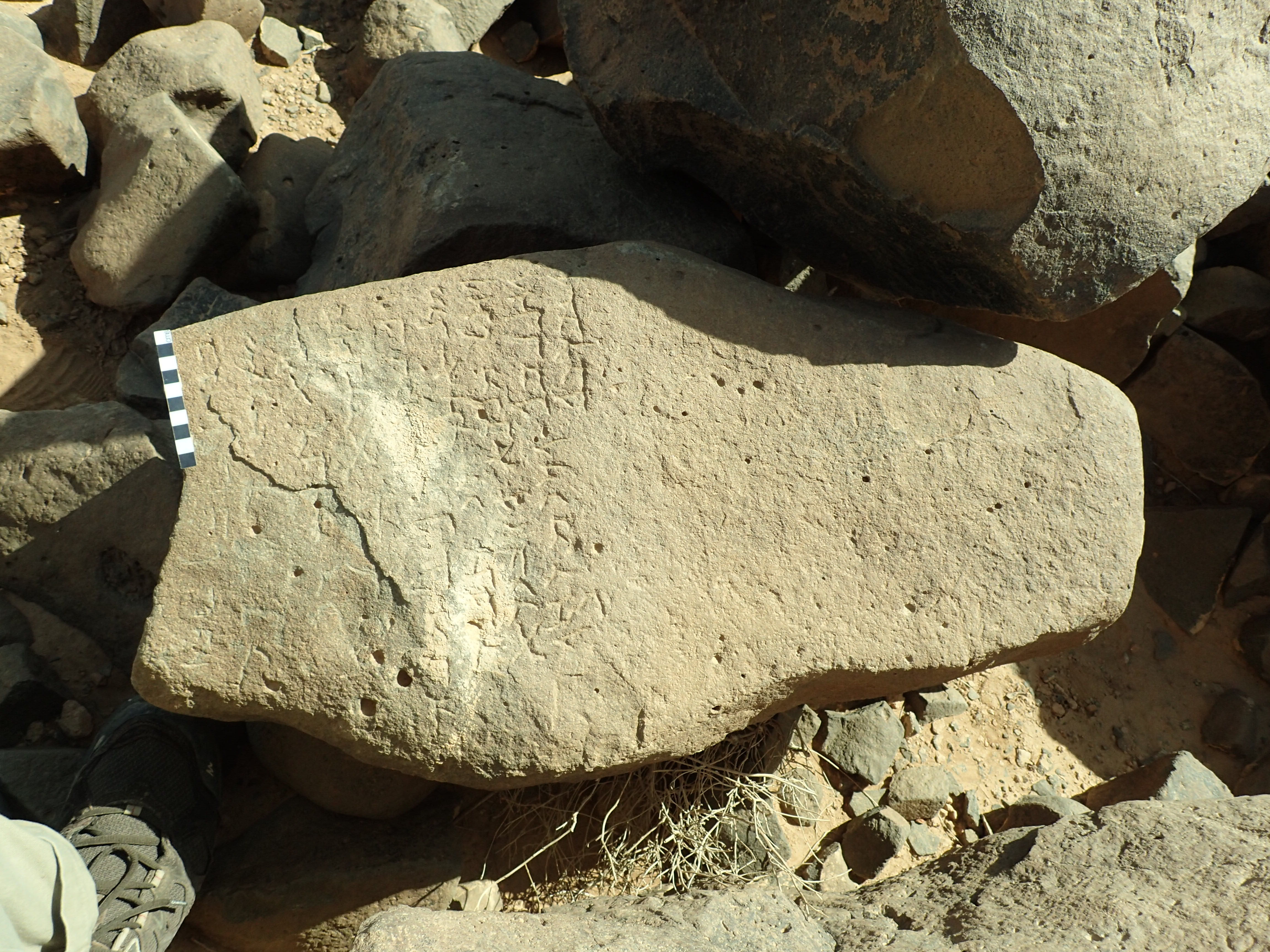 inscription of siglum Bādiyah Palm. 1