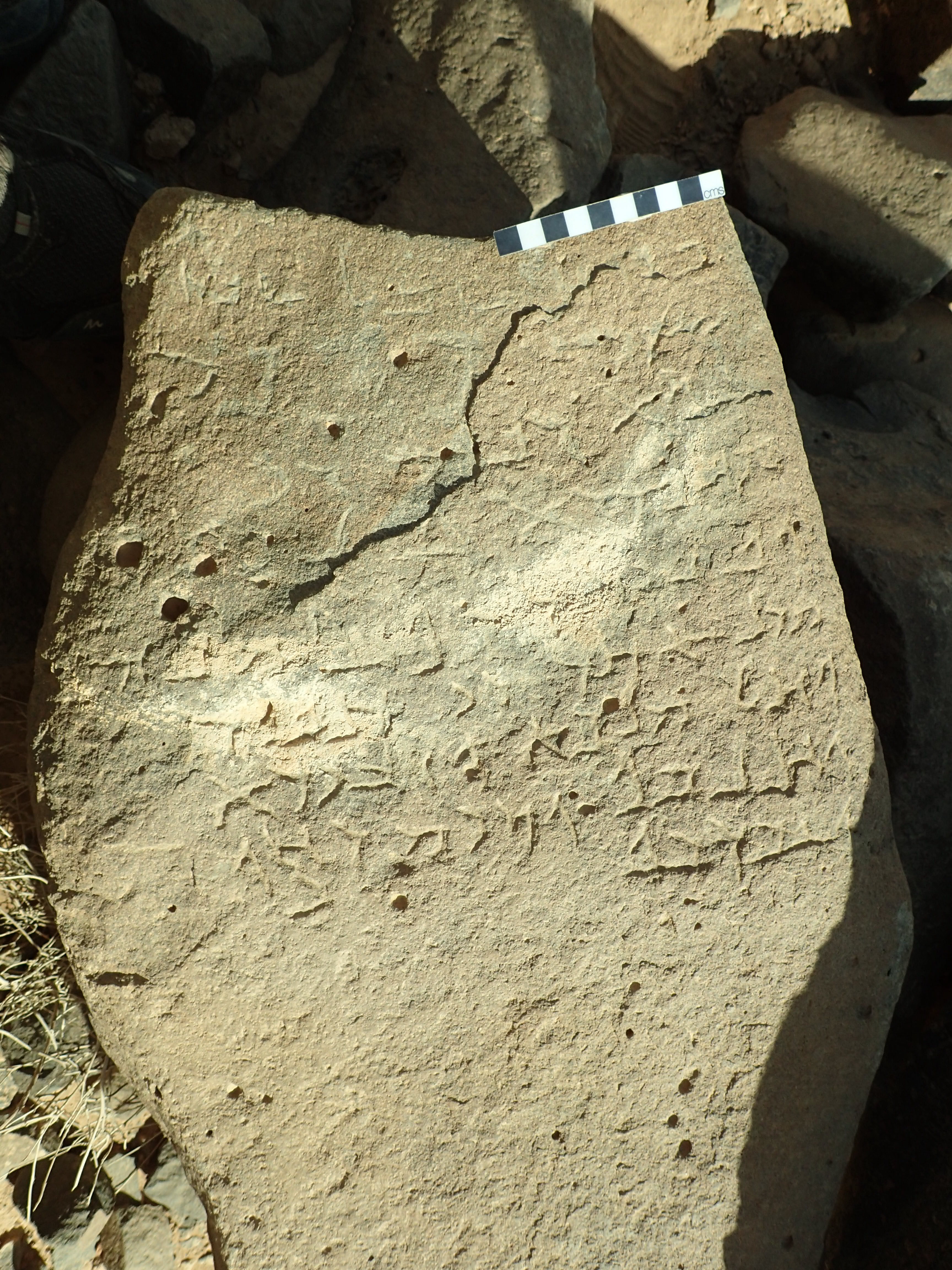 inscription of siglum Bādiyah Palm. 1