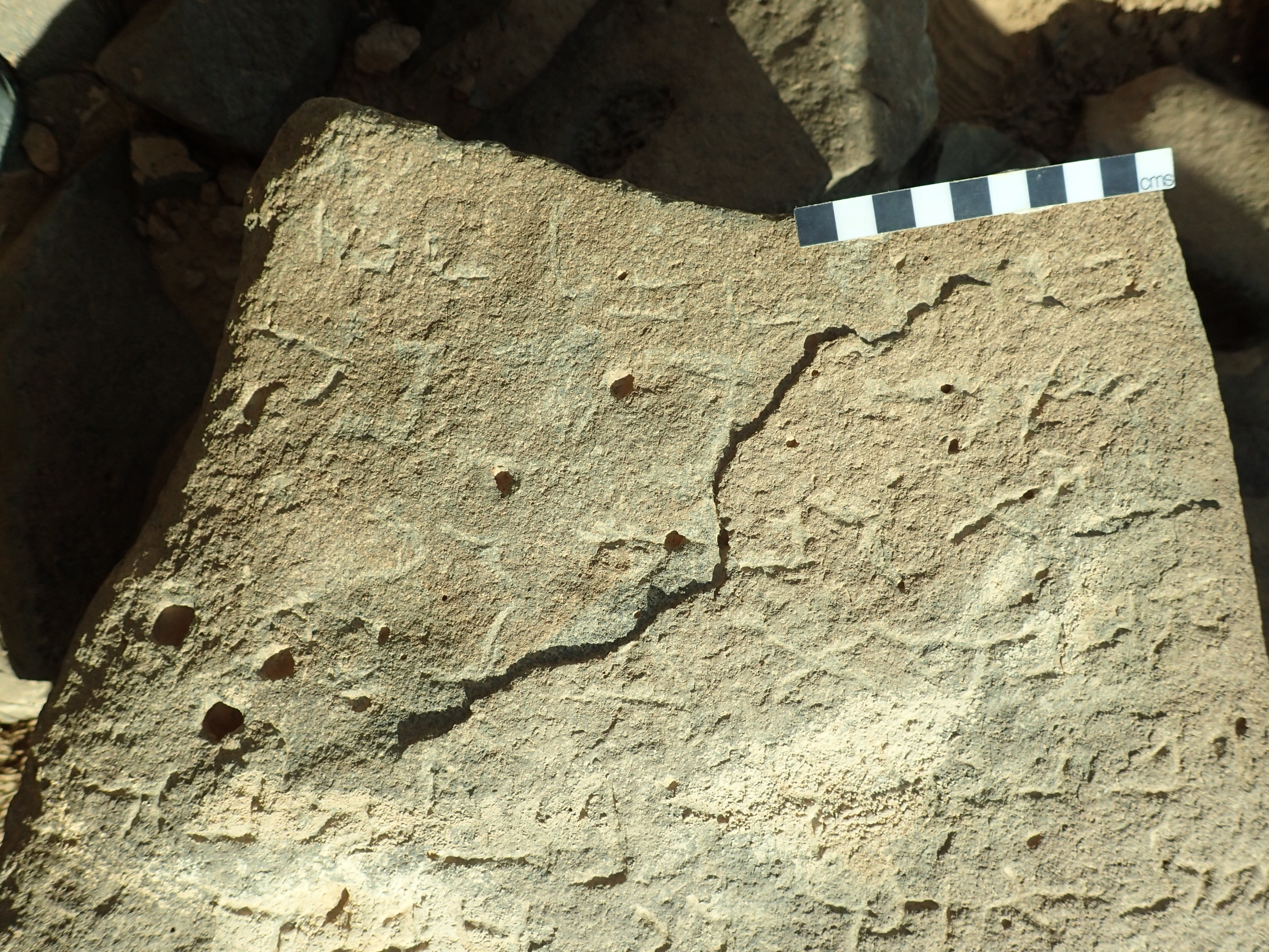 inscription of siglum Bādiyah Palm. 1