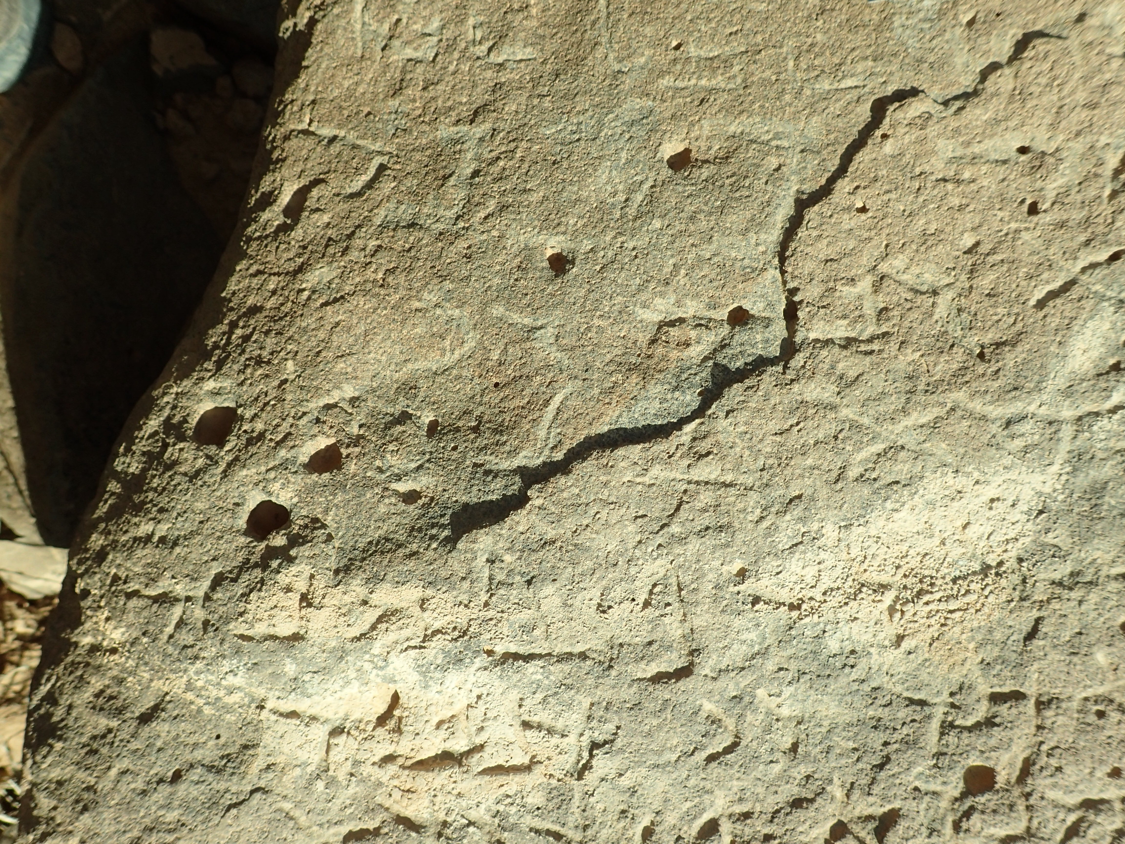 inscription of siglum Bādiyah Palm. 1