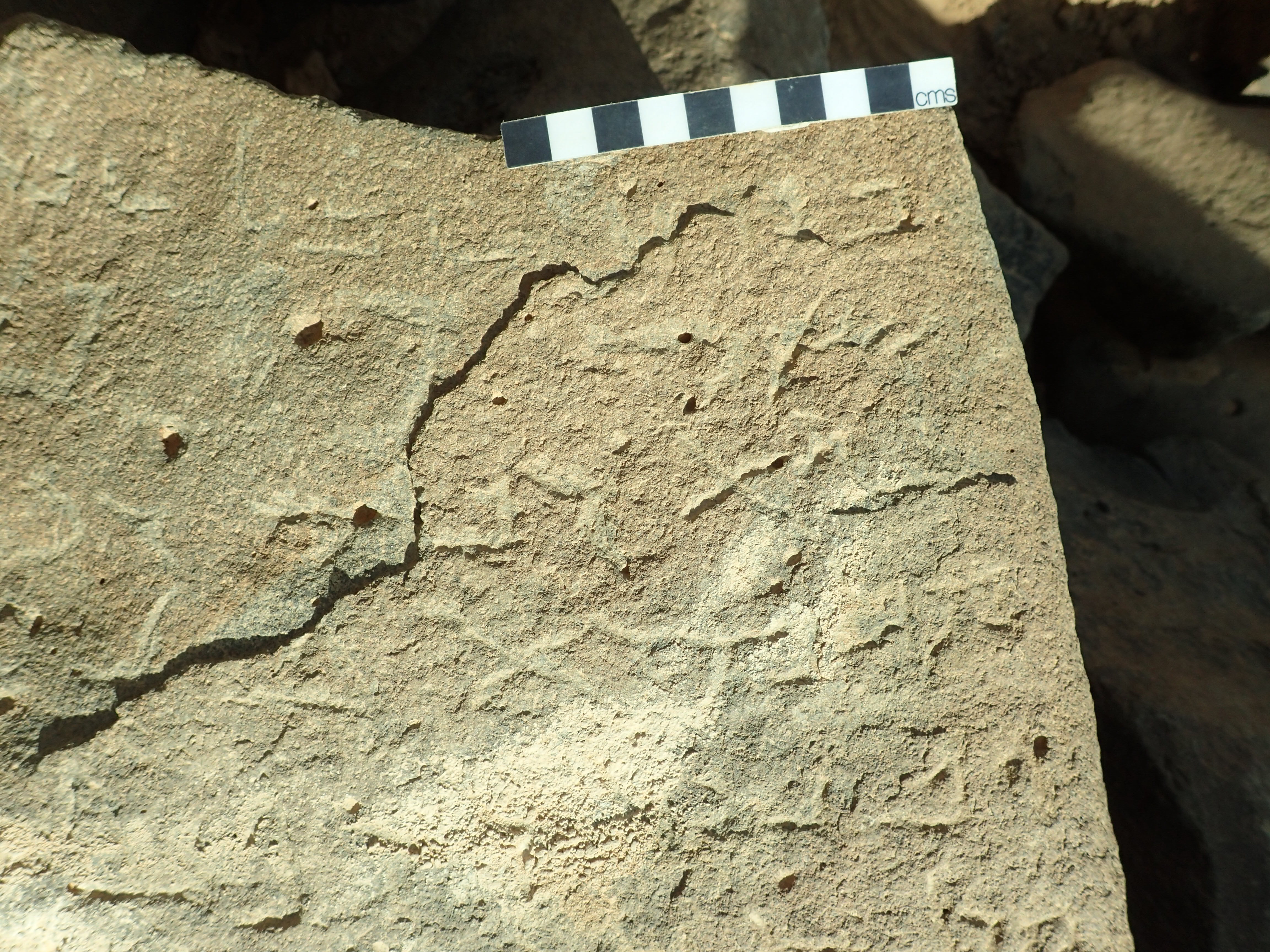 inscription of siglum Bādiyah Palm. 1