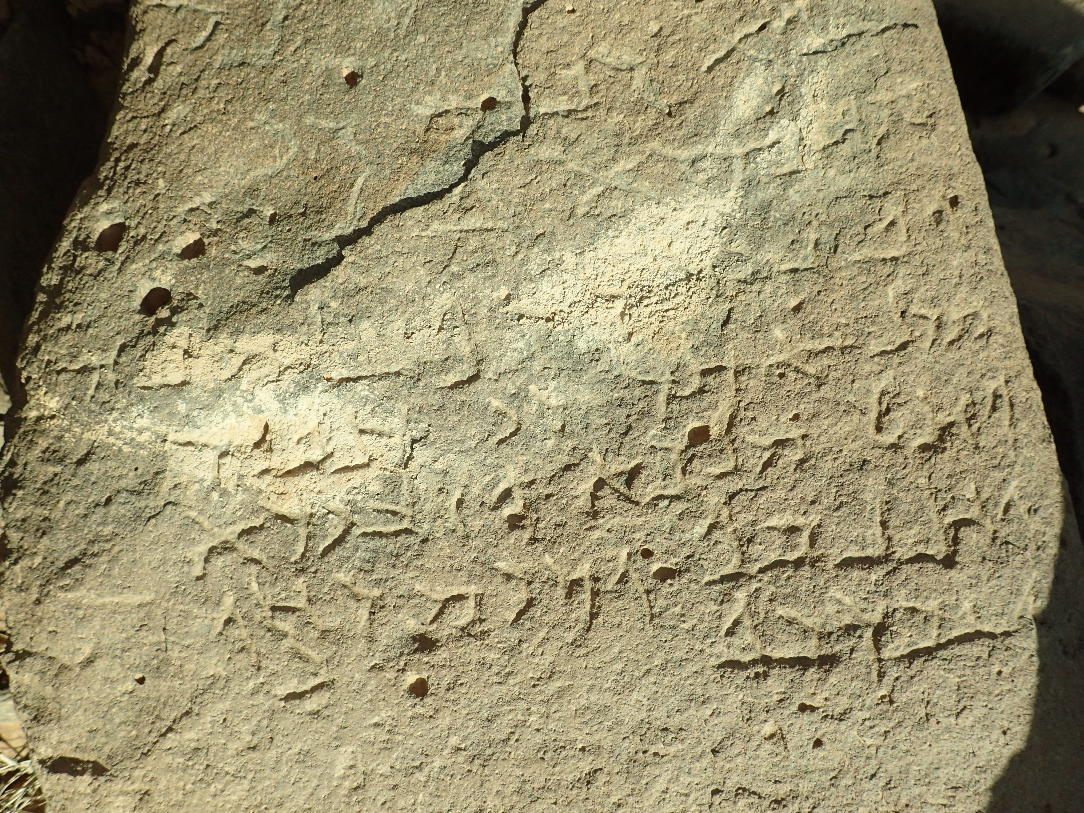 inscription of siglum Bādiyah Palm. 1