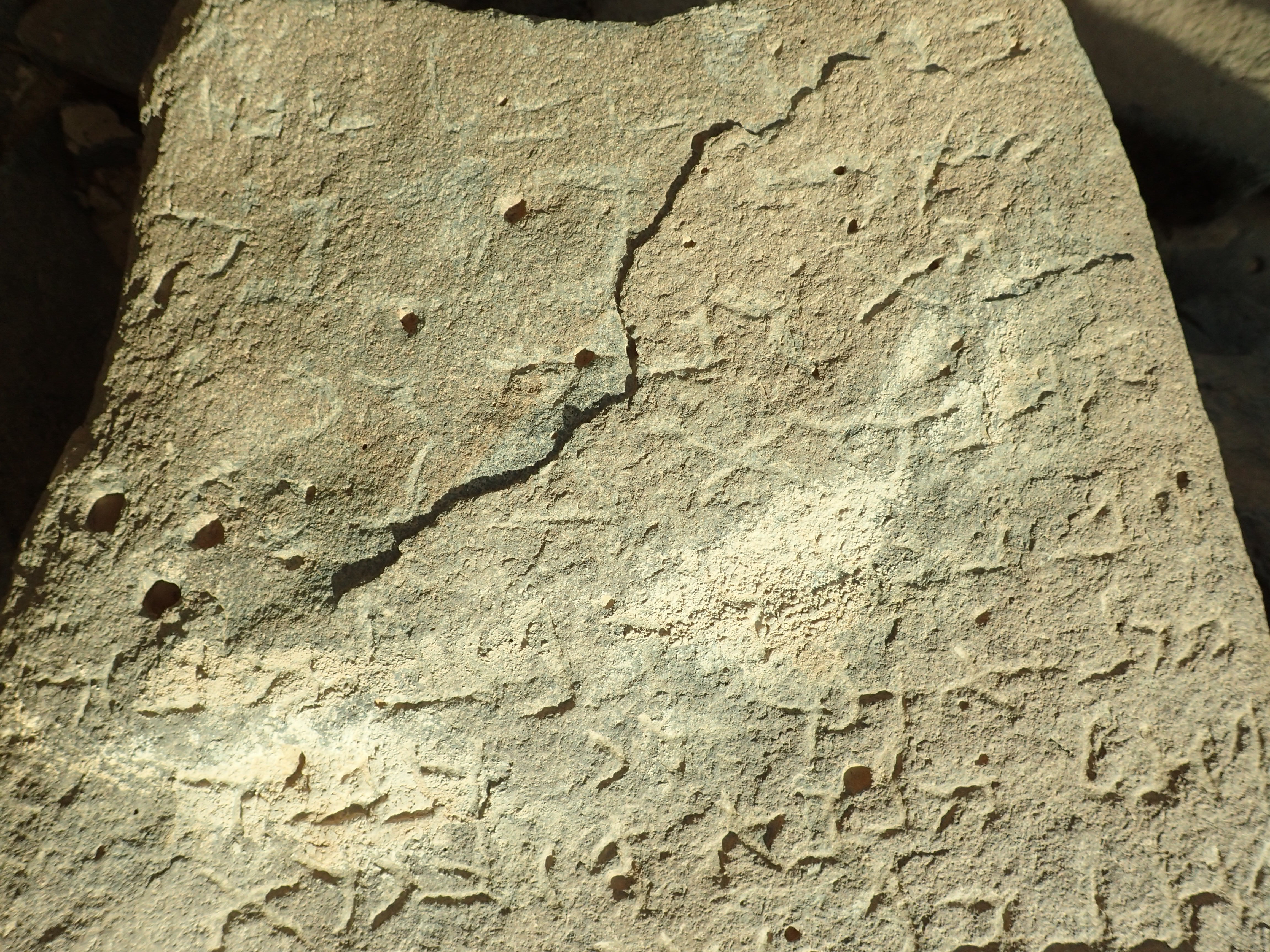 inscription of siglum Bādiyah Palm. 1