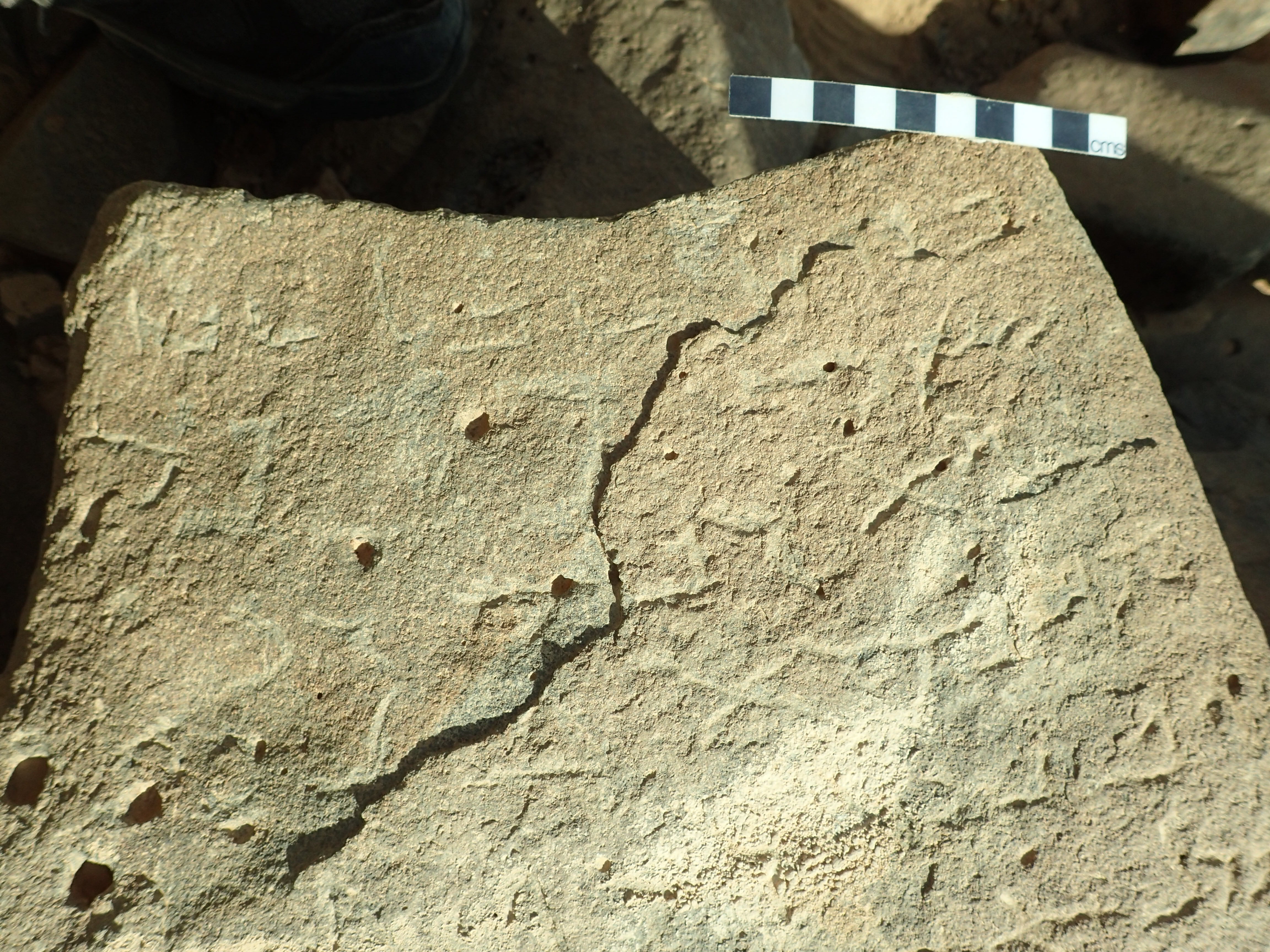 inscription of siglum Bādiyah Palm. 1
