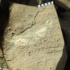 inscription of siglum Bādiyah Palm. 1