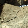 inscription of siglum Bādiyah Palm. 1
