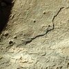 inscription of siglum Bādiyah Palm. 1