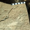 inscription of siglum Bādiyah Palm. 1