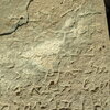 inscription of siglum Bādiyah Palm. 1
