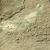 inscription of siglum Bādiyah Palm. 1
