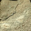 inscription of siglum Bādiyah Palm. 1
