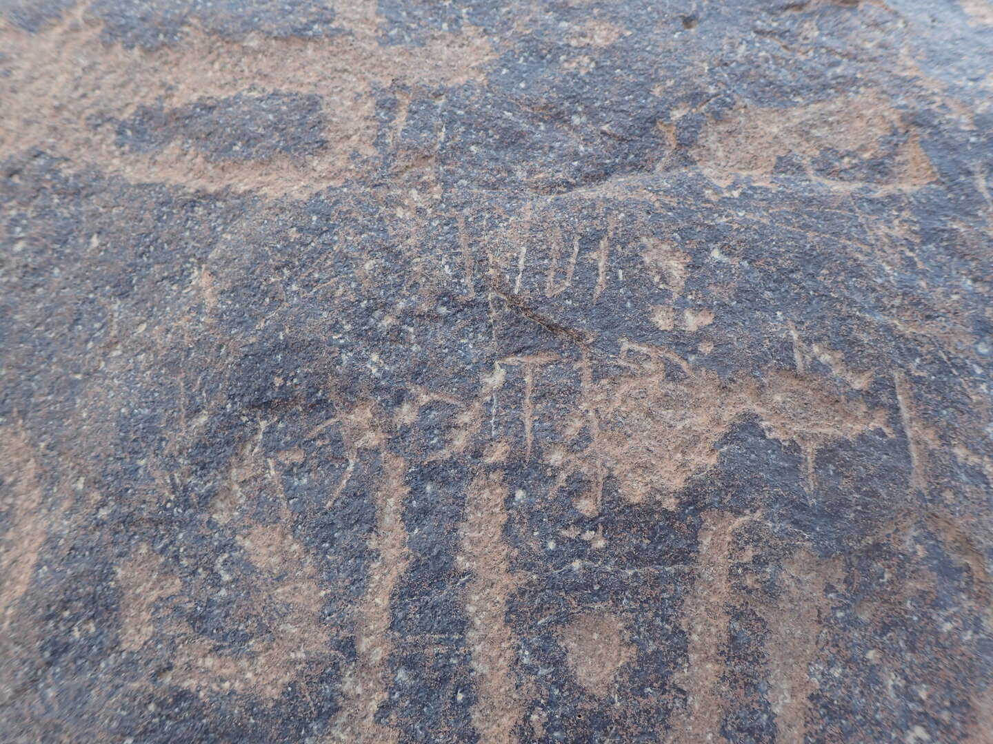 inscription of siglum BES15 557