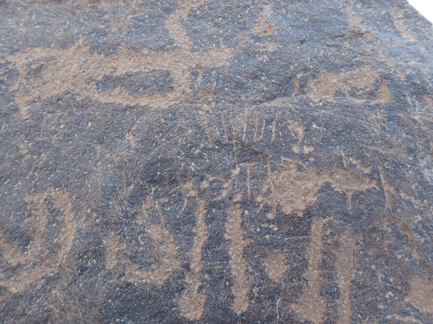 inscription of siglum BES15 557