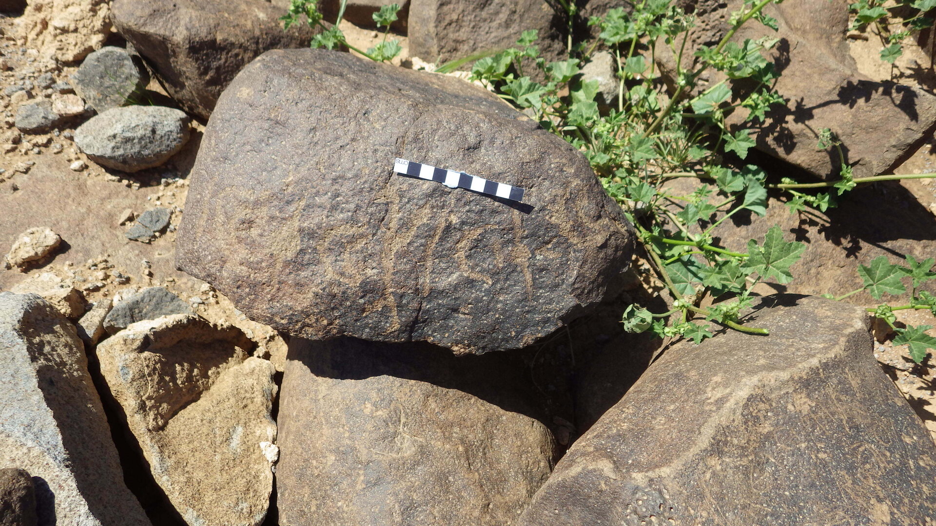 inscription of siglum BES15 791