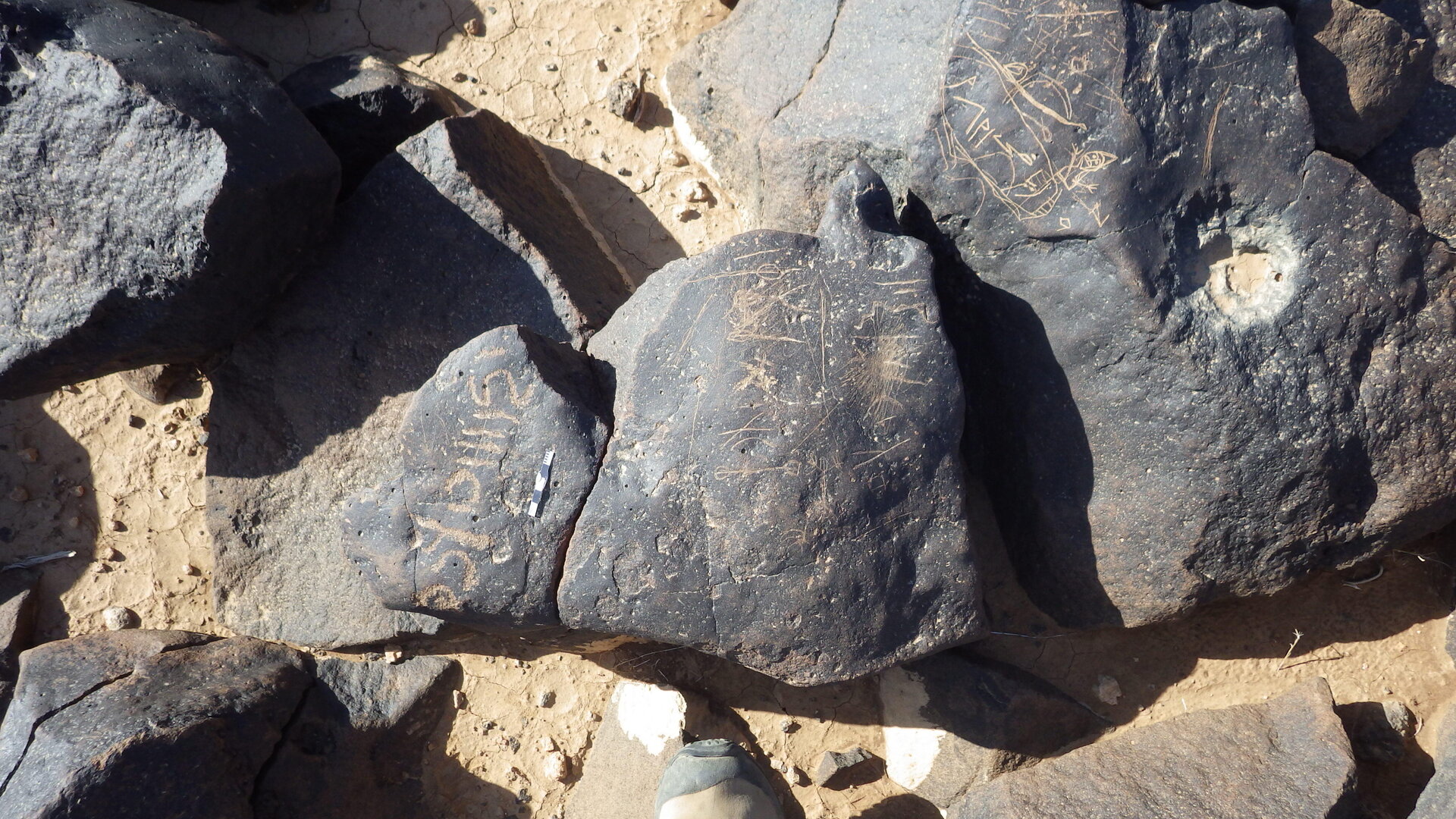 Rimg0258.jpg