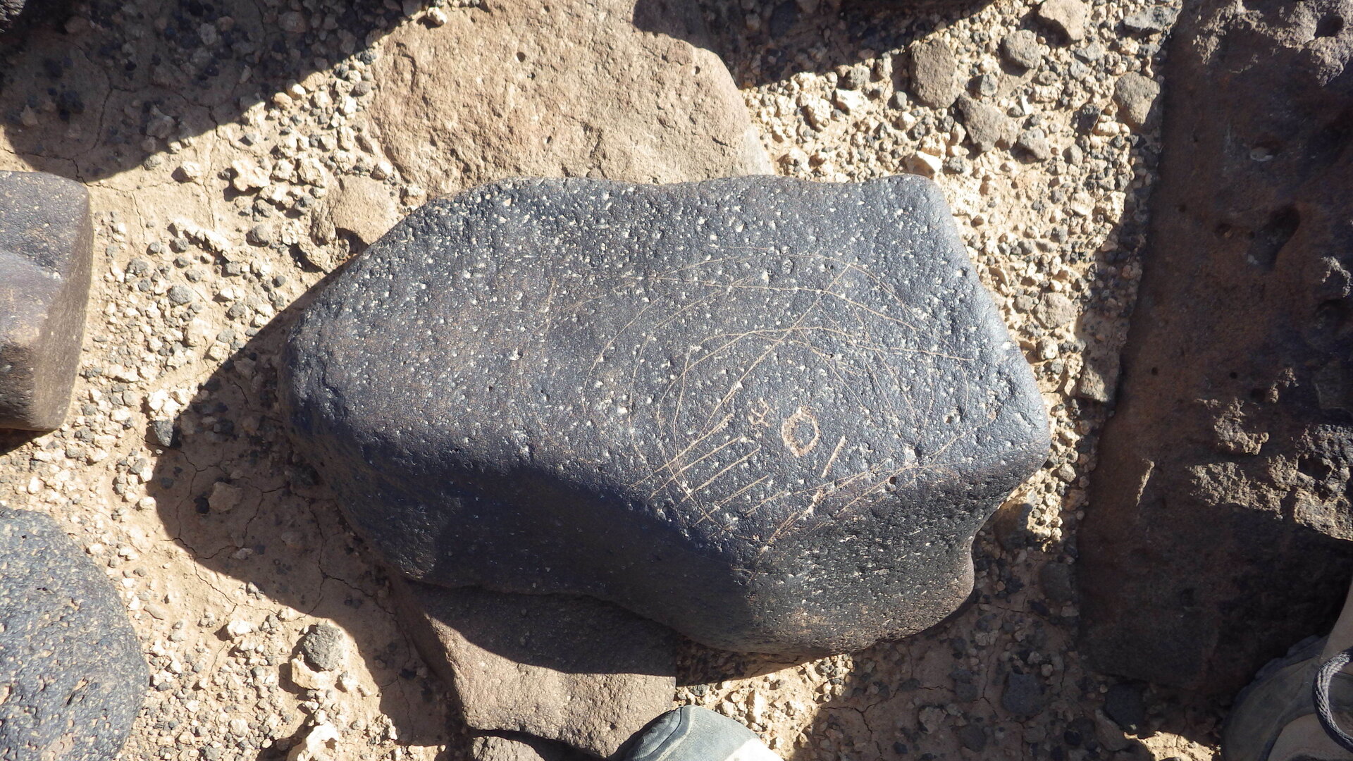 Rimg0271.jpg