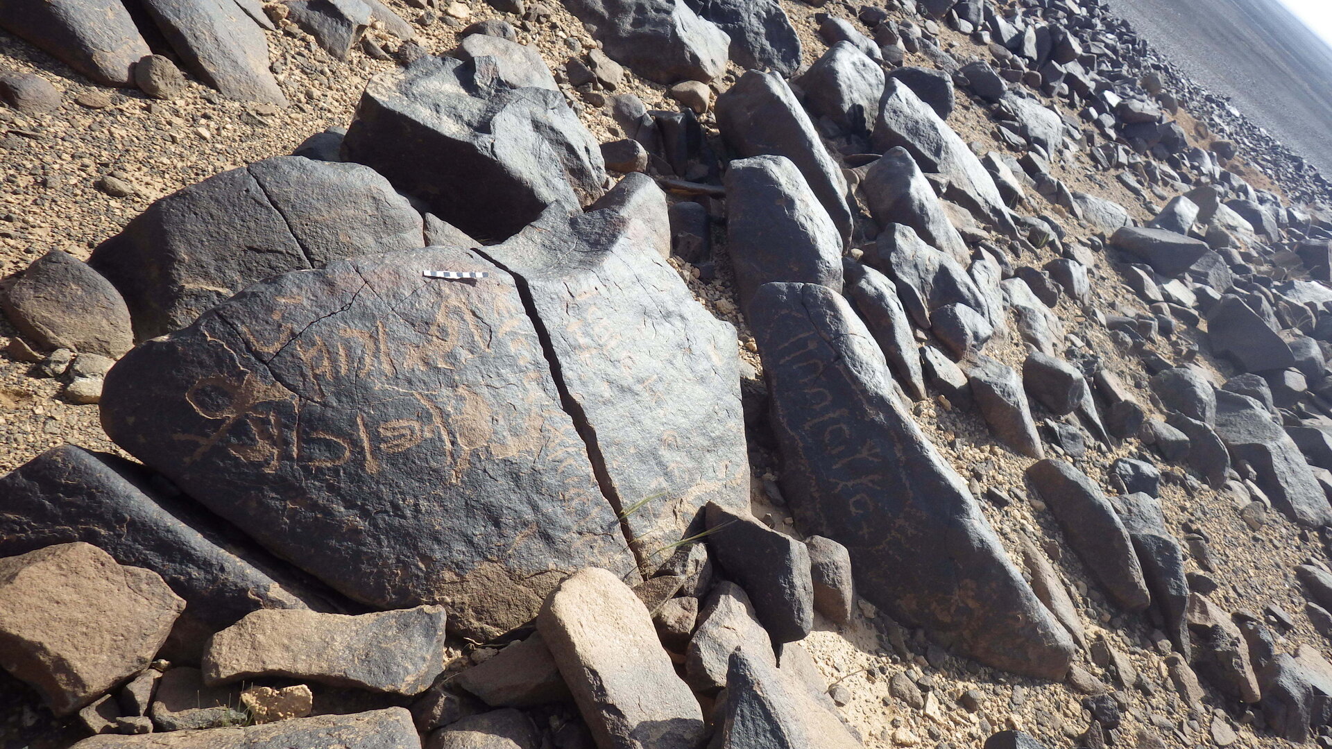 Rimg3695.jpg