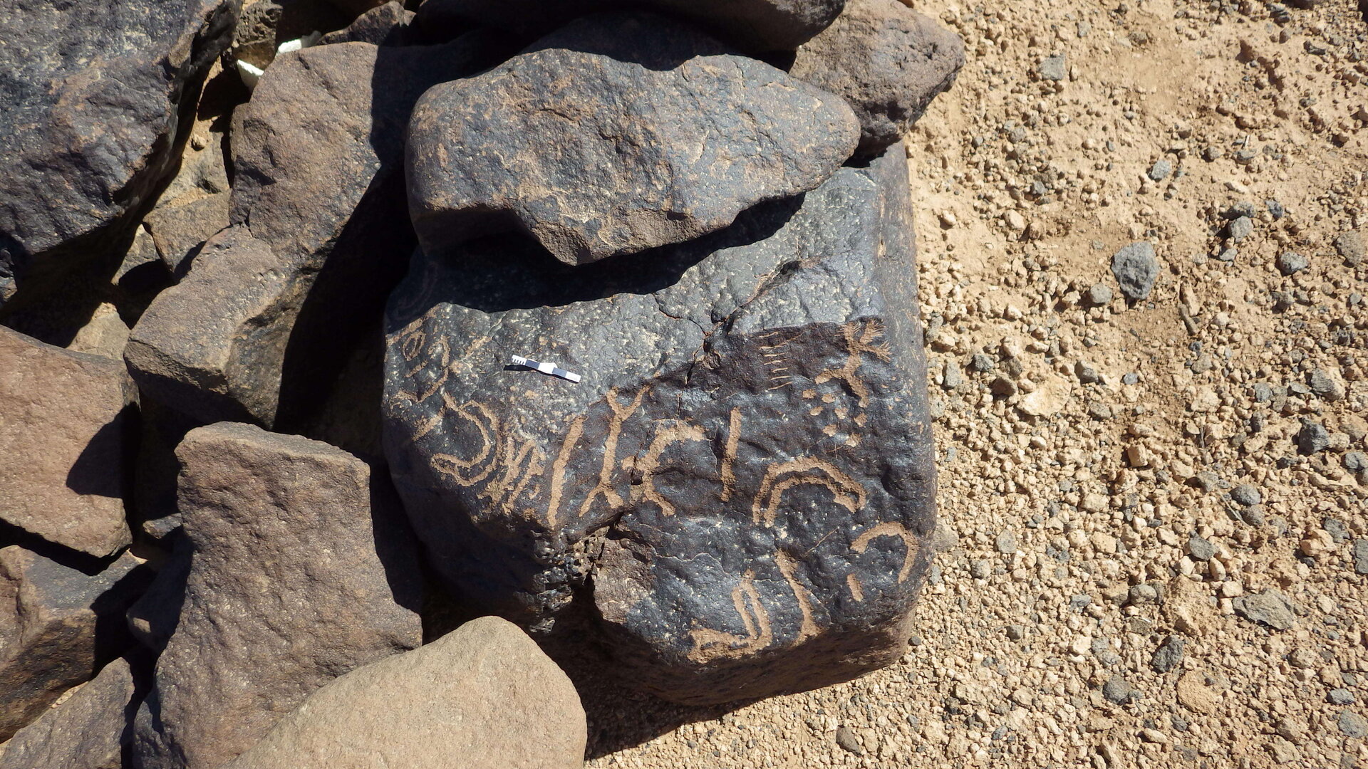 Rimg0335.jpg