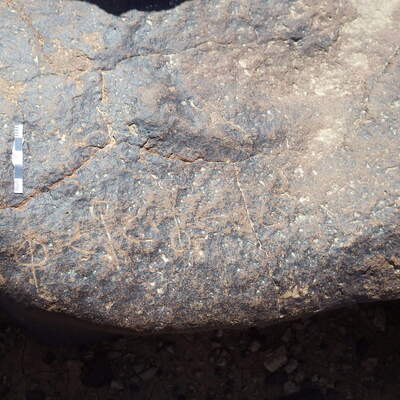 Rimg0339.jpg